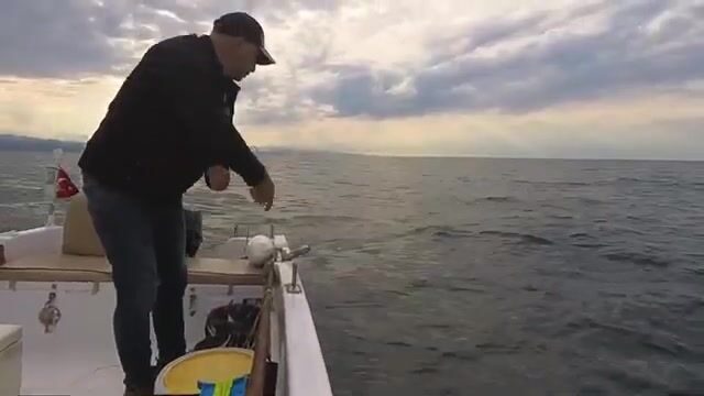 Черное море: пеламида на 15-крючковую оснастку с силиконовым осьминогом