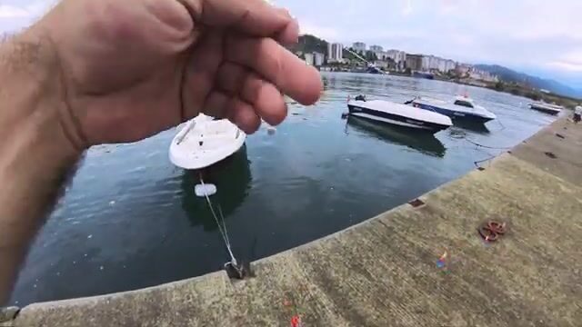 Черное море: пеламида на 15-крючковую оснастку с силиконовым осьминогом
