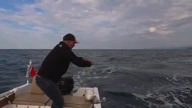 Черное море: пеламида на 15-крючковую оснастку с силиконовым осьминогом