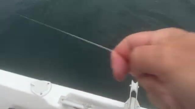 Черное море: пеламида на 15-крючковую оснастку с силиконовым осьминогом