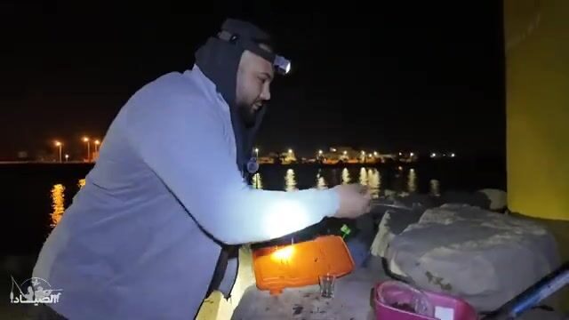 Махдия: ночная ловля кальмара, дорады и лаврака