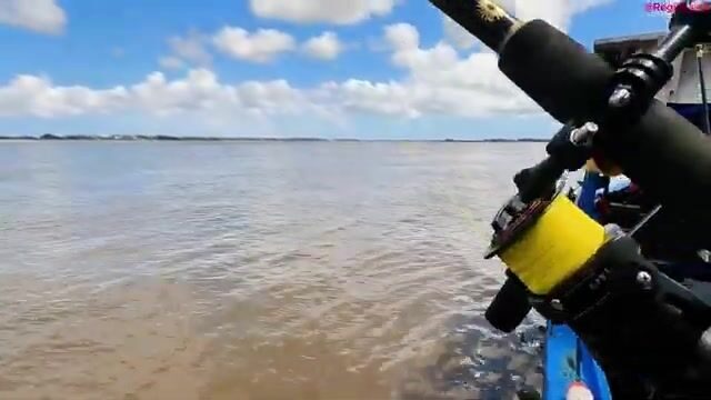 День на лодке по реке Суринам от пристани Леонсберг