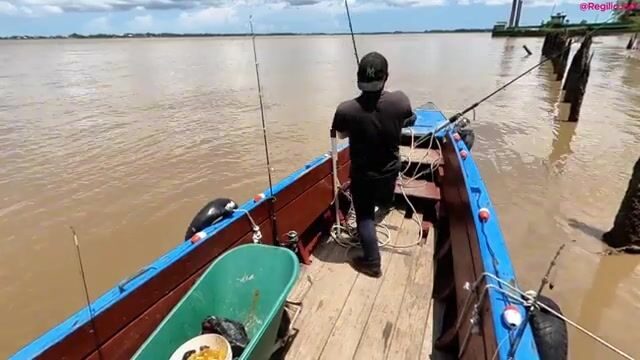День на лодке по реке Суринам от пристани Леонсберг
