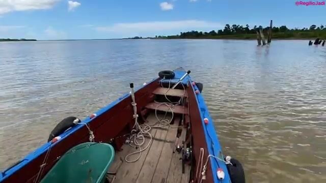 День на лодке по реке Суринам от пристани Леонсберг