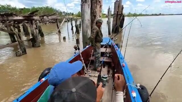 День на лодке по реке Суринам от пристани Леонсберг