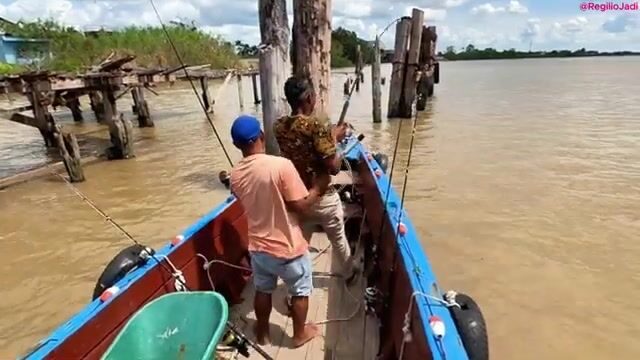 День на лодке по реке Суринам от пристани Леонсберг