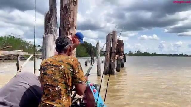 День на лодке по реке Суринам от пристани Леонсберг