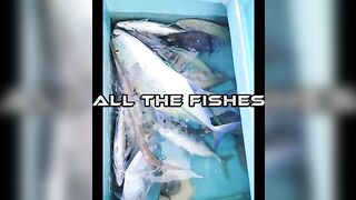 Морской выход у Дхандху на атолле Гаафу-Алифу
