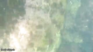 Волна у Мехдии унесла таз с мидиями и тремя рыбами