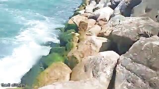 Волна у Мехдии унесла таз с мидиями и тремя рыбами