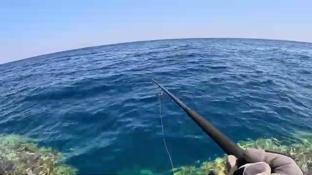 Морская рыбалка в Египте: от поклёвки до шашлыка