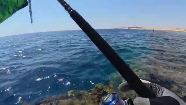 Морская рыбалка в Египте: от поклёвки до шашлыка