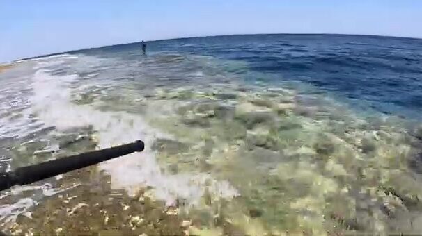 Морская рыбалка в Египте: от поклёвки до шашлыка