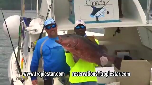 Прибрежная и офшорная рыбалка Tropic Star Lodge в заливе Пиньяс