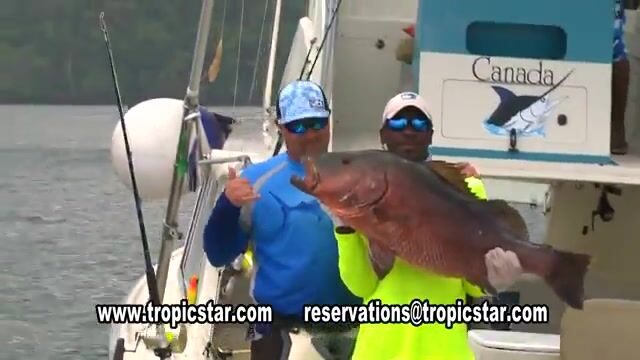 Прибрежная и офшорная рыбалка Tropic Star Lodge в заливе Пиньяс