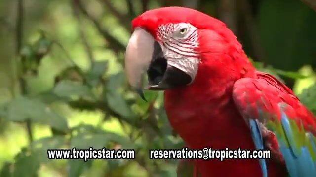 Прибрежная и офшорная рыбалка Tropic Star Lodge в заливе Пиньяс