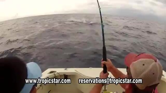 Прибрежная и офшорная рыбалка Tropic Star Lodge в заливе Пиньяс