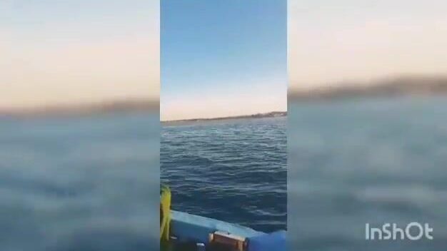 Крючковая ловля у Эль-Хомса на ливийском побережье