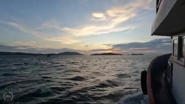 Фукуок: групповая ловля на кальмара и первая морская рыба