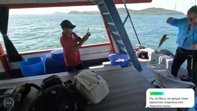 Фукуок: групповая ловля на кальмара и первая морская рыба