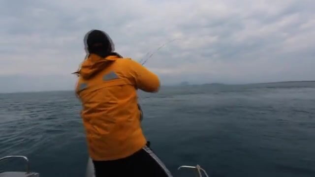 Чеджу, Южная Корея: ловля красного морского леща на приманку