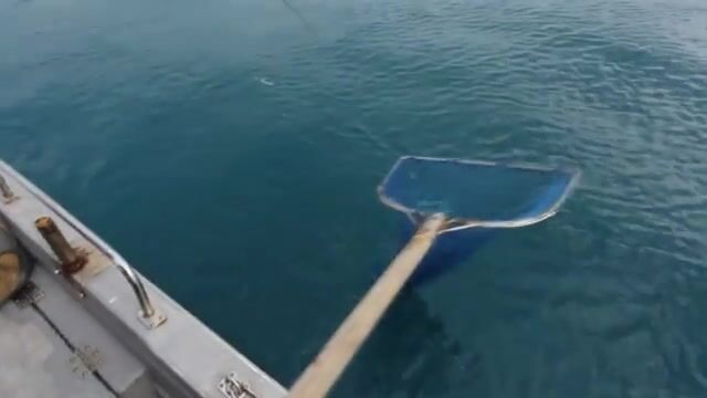 Чеджу, Южная Корея: ловля красного морского леща на приманку