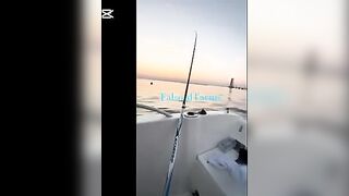 Ловля дорады в лагуне Венеции 19 августа 2025 года