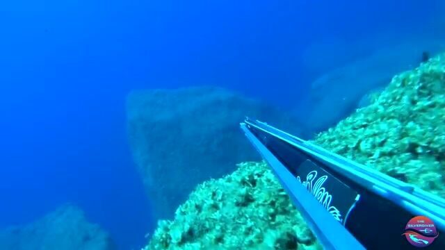 Подводная охота на Крите: сарганы, скорпены и групер у Ханьи
