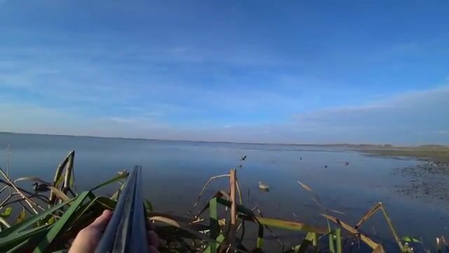 Ночевка на острове перед утренней ловлей сазана