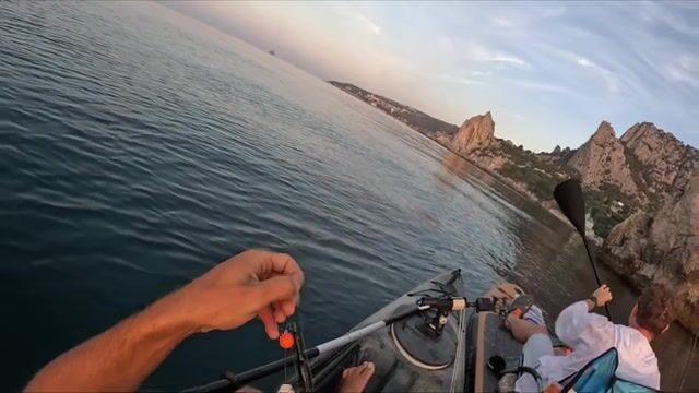 Симеиз и Чёрная речка: ставрида у скалы Дива, щука в пресной воде
