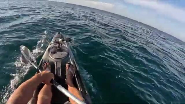 Симеиз и Чёрная речка: ставрида у скалы Дива, щука в пресной воде
