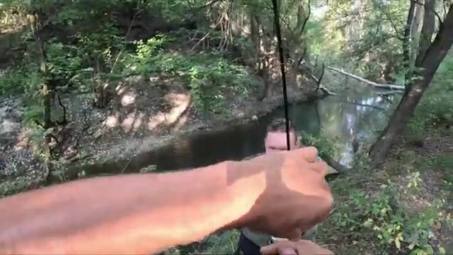 Симеиз и Чёрная речка: ставрида у скалы Дива, щука в пресной воде