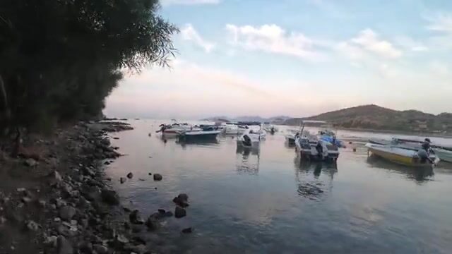 Датча: утренний выход за пеламидой и крупный хищник у Туз-Адасы