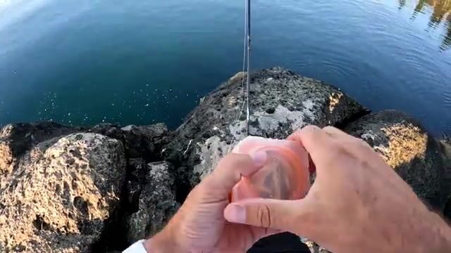 Рокфишинг в Симеизе: ласкири, скорпена и каменный окунь