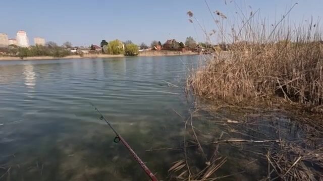 Щука на Ростовском море после смены пяти мест