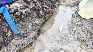 Тележка с колёсами для подъёма лодки в Байсау под Вунгтау