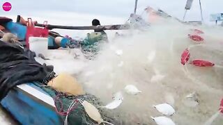 Тележка с колёсами для подъёма лодки в Байсау под Вунгтау
