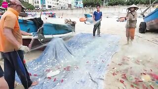 Тележка с колёсами для подъёма лодки в Байсау под Вунгтау