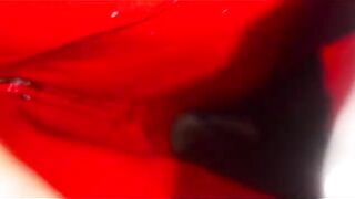 Капитан Абдельджалиль пересыпает песком купленных сардин у Касабланки