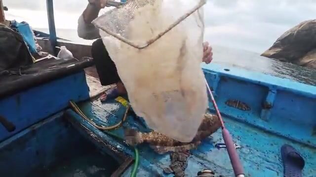 Красная рыба более десяти килограммов у Хон-Онг во Вьетнаме
