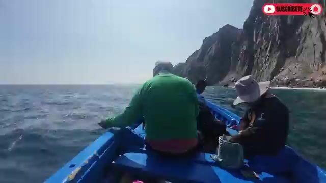 Морская рыбалка в Перу: трамбойо, кабрилья и севиче из корбины