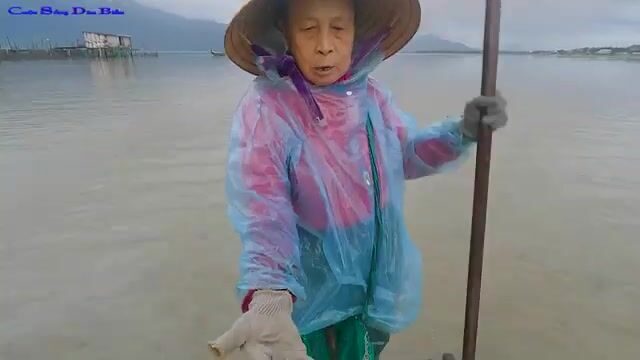 Круговая сеть на лагуне Лапан у Лангко собрала пять-шесть рыб за один заход