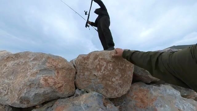 Датча: спиннингом на барракуду, в улове пеламида