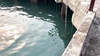 У причала Кулаочам обсуждают запрет на лов лангустов