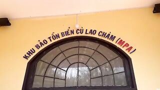 У причала Кулаочам обсуждают запрет на лов лангустов
