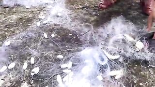 У причала Кулаочам обсуждают запрет на лов лангустов