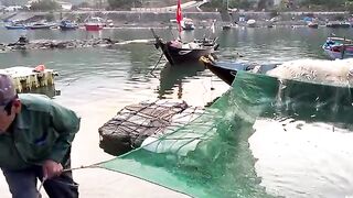 У причала Кулаочам обсуждают запрет на лов лангустов