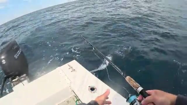 Бофорт, Северная Каролина: дневная рыбалка с TWWs Charters