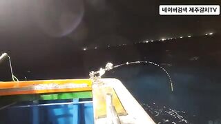 Рыба-сабля на 50 метрах у Чеджу перед дождем