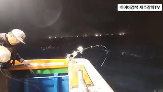 Рыба-сабля на 50 метрах у Чеджу перед дождем